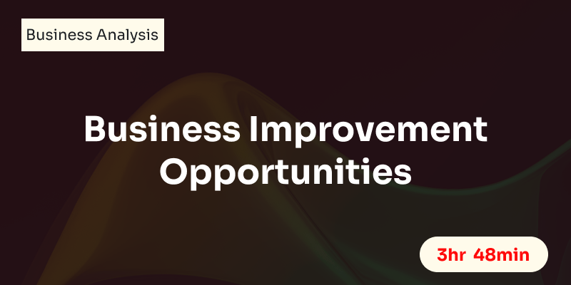 Business Improvement Opportunities