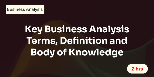 Key Business Analysis Terms, Definition and Body of Knowledge