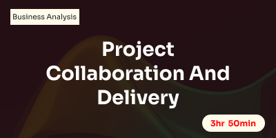 Project Collaboration And Delivery
