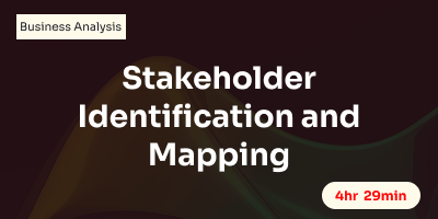 Stakeholder Identification and Mapping