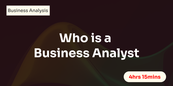 Who is a Business Analyst