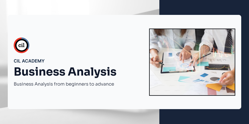 Business Analysis